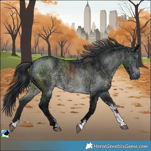 Horse Color:Brown Chinchilla Ice Sabino Rabicano 
