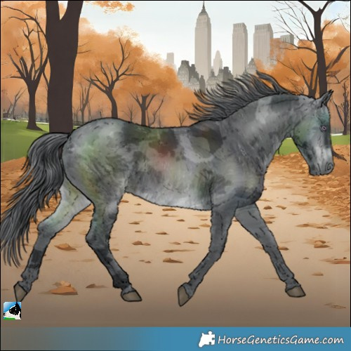 Horse Color:Brown Chinchilla Merle 