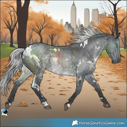 Horse Color:White Spotted Silver Black Chinchilla 