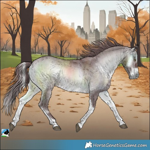 Horse Color:Chocolate Brown Chinchilla Onyx Merle Tobiano 