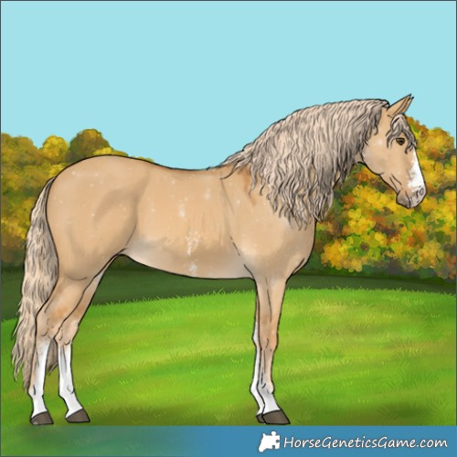Horse Color:Palomino Dun Sabino 