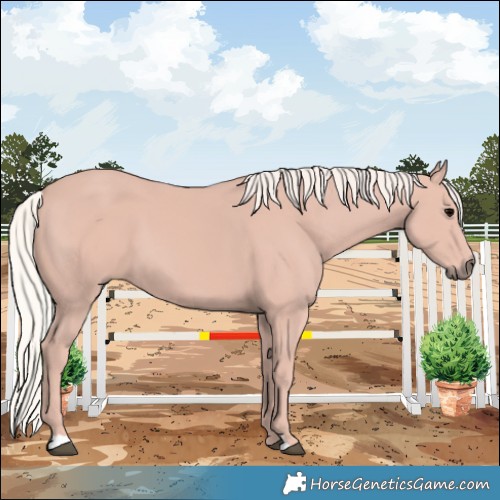 Horse Color:Silver Black