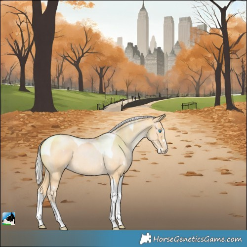 Horse Color:White Spotted Silver Buckskin Pearl Splash Tobiano