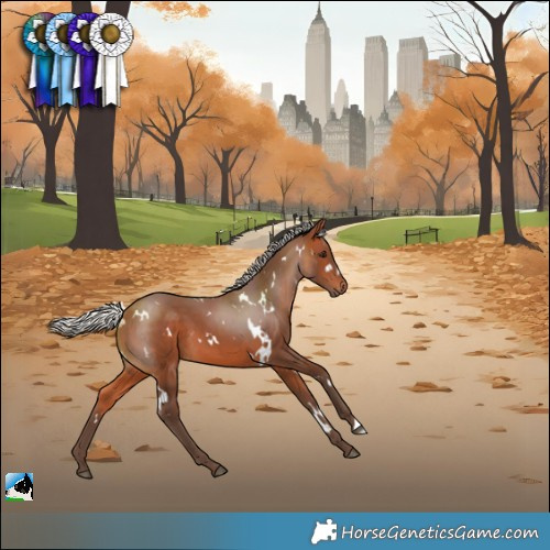 Horse Color:White Spotted Silver Brown