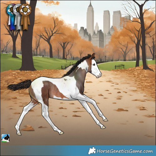Horse Color:Bay Splash Tobiano Rabicano