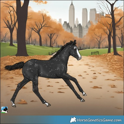 Horse Color:Gray Liver Chestnut Splash Snowflake Varnish 