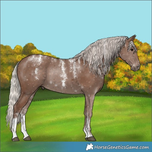 Horse Color:Powder White Silver Black