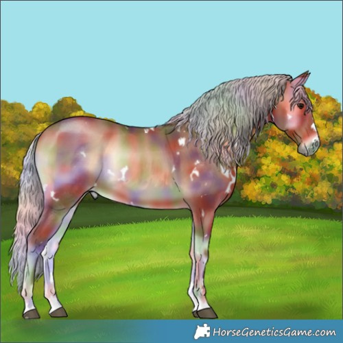 Horse Color:Nacre White Spotted Silver Brown Onyx 
