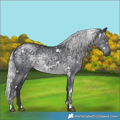 Horse Color:White Spotted Silver Black Chinchilla