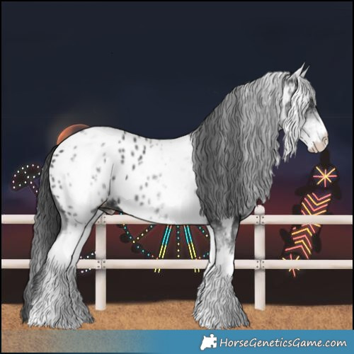 Horse Color:White Spotted Black Near Leopard