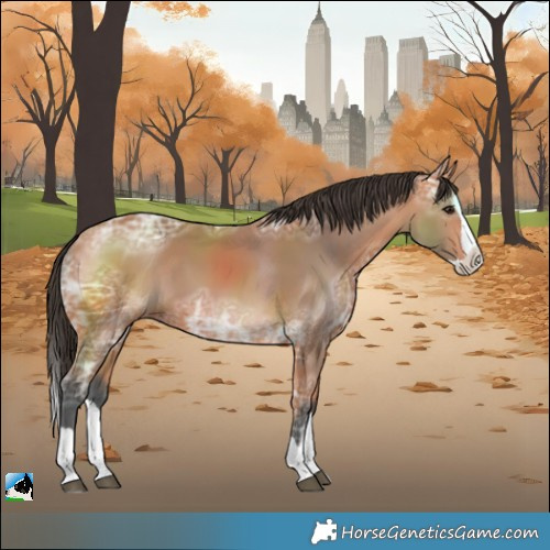 Horse Color:Bay Ice Splash 
