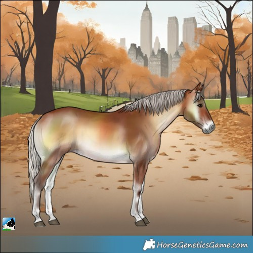 Horse Color:Silver Brown Onyx 