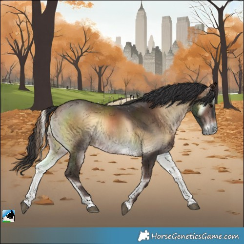Horse Color:Brown Onyx