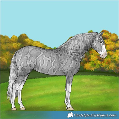 Horse Color:Silver Blue Onyx Chinchilla Ice Splash
