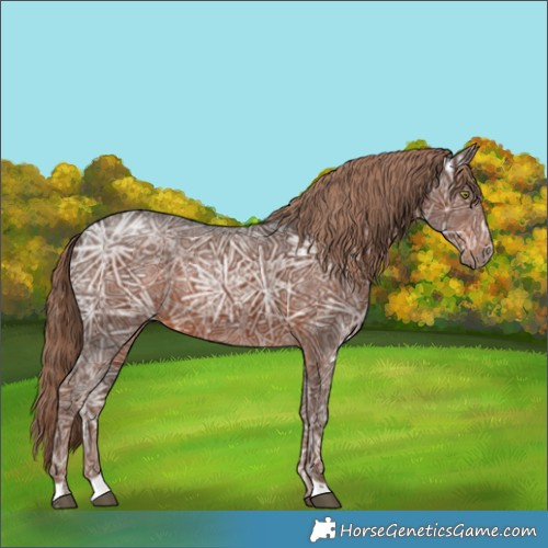 Horse Color:Liver Chestnut Ice