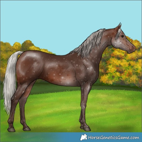 Horse Color:Silver Brown 