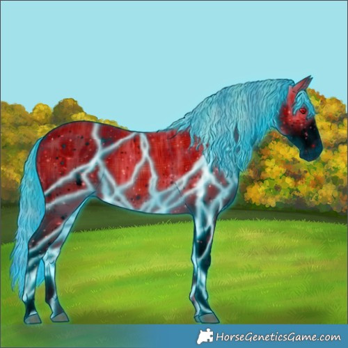 Horse Color:ERROR: UNKNOWN ANOMALY