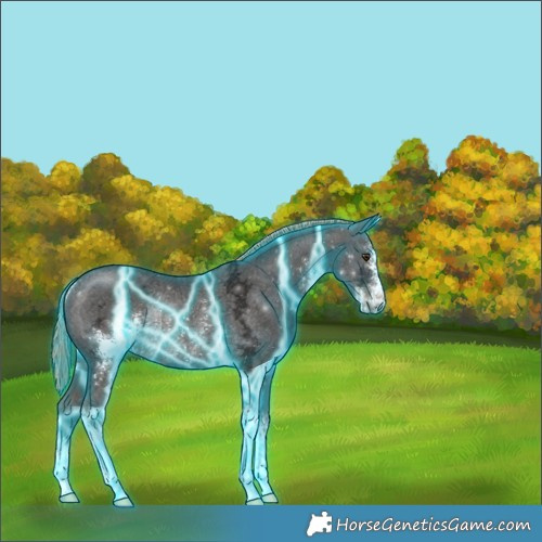 Horse Color:Thunderstruck Liver Chestnut Ice Sabino Rabicano