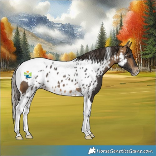 Horse Color:Buckskin Tobiano Skewed LP Spotted 