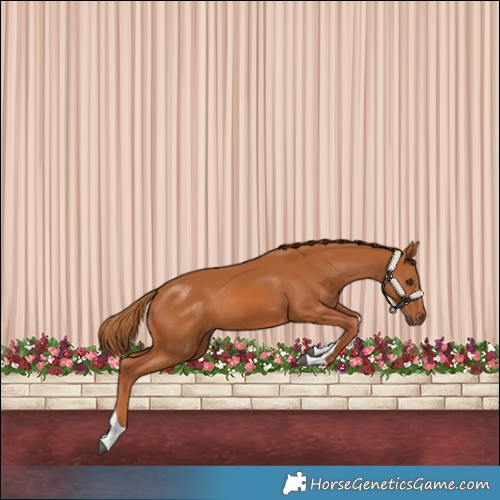Horse Color:Chestnut Tobiano 