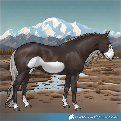 Horse Color:Silver Brown Frame