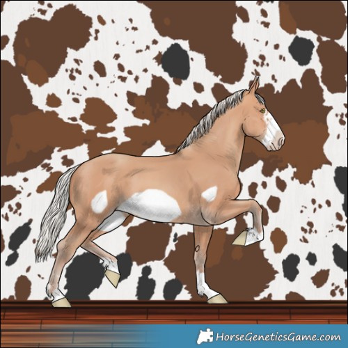 Horse Color:Silver Amber Champagne Frame