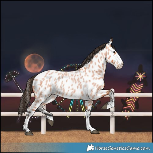 Horse Color:Bay Roan Leopard 