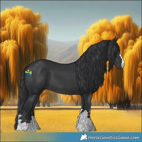 Horse Color:Black 