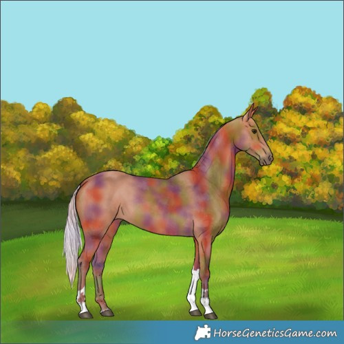 Horse Color:Nacre Silver Bay Tobiano