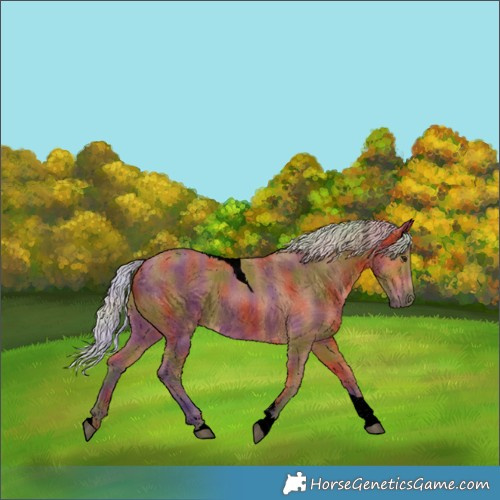 Horse Color:Void Nacre Silver Bay Tobiano 