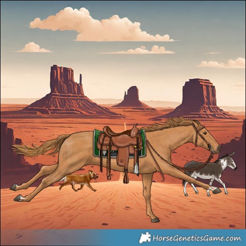 Horse Color:Chestnut and Chestnut