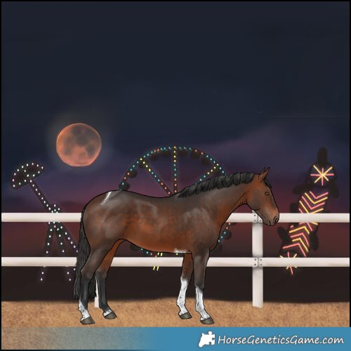 Horse Color:Bay Tobiano 