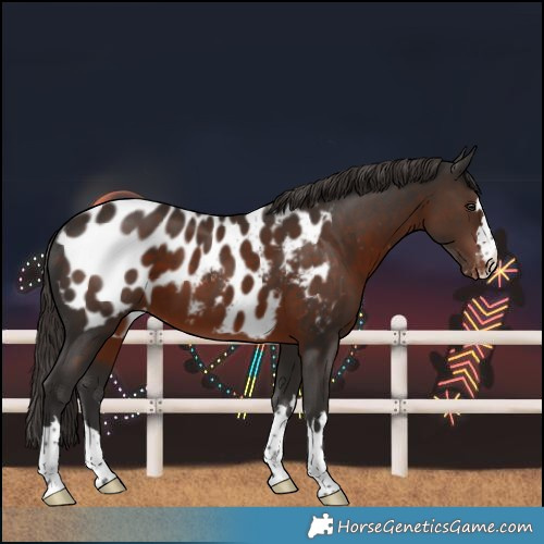 Horse Color:Liver Chestnut Blanket 
