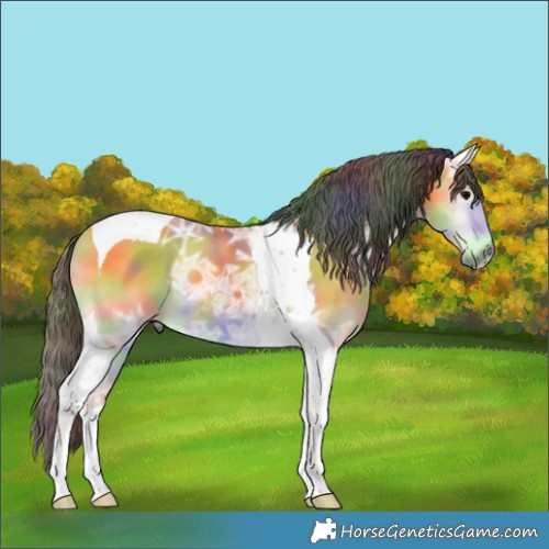 Horse Color:Nacre Buckskin Ice Onyx Tobiano