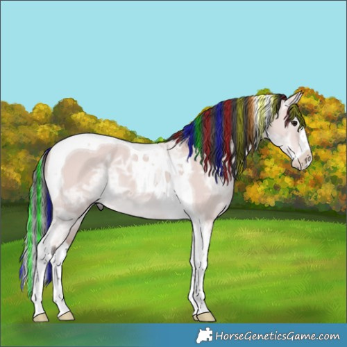 Horse Color:Platinum Painted Bay Ice Dun Splash Tobiano