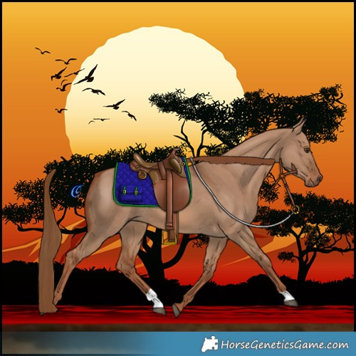 Horse Color:Red Dun 