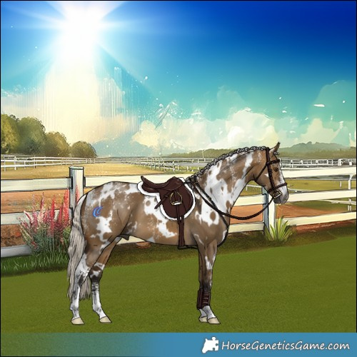 Horse Color:Powder White Gray White Spotted Silver Buckskin Dun 