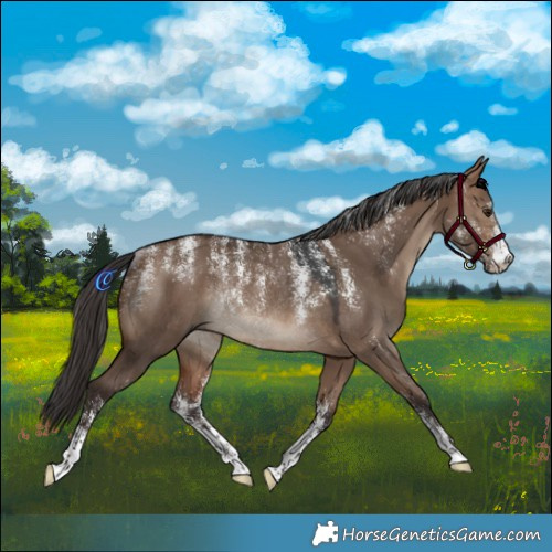 Horse Color:Powder White Brown Dun Rabicano 