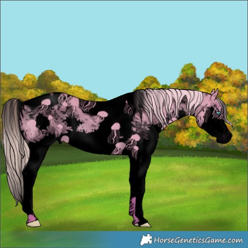Horse Color:Void Watercolor Red Dun Splash Tobiano