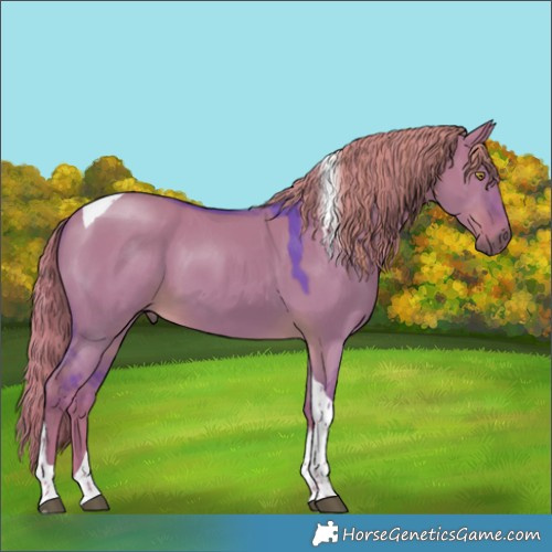 Horse Color:Watercolor Liver Red Dun Tobiano 