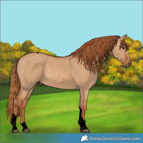 Horse Color:Void Red Dun Tobiano 