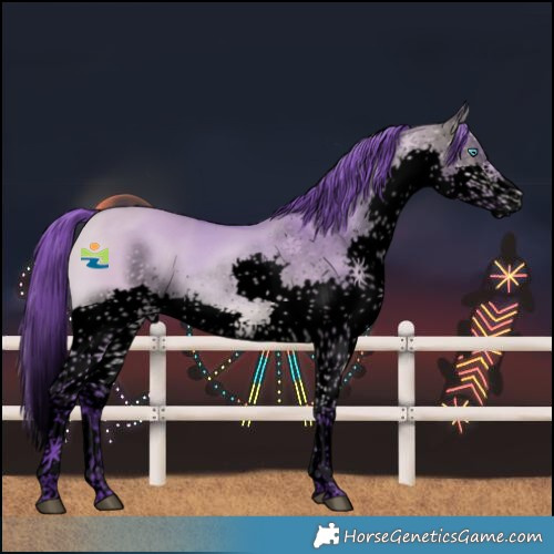 Horse Color:Void Watercolor Bay Dun Splash Rabicano 