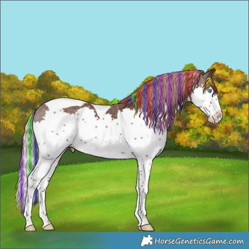 Horse Color:Painted Liver Chestnut Splash Tobiano 