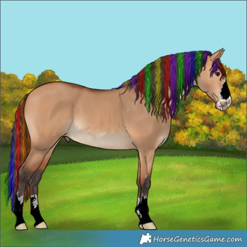Horse Color:Painted Bay Dun 