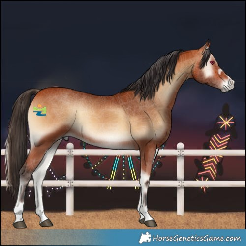 Horse Color:Bay Onyx