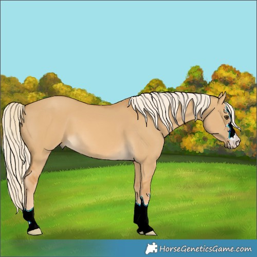 Horse Color:Palomino Dun