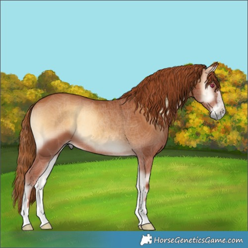 Horse Color:Red Onyx