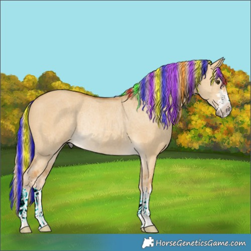 Horse Color:Painted Palomino Dun Rabicano 