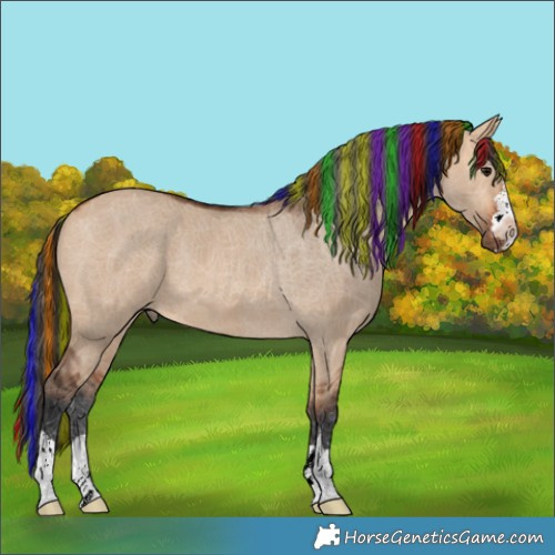Horse Color:Painted Bay Dun Rabicano 