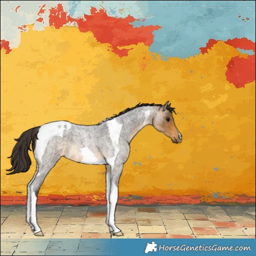 Horse Color:Buckskin Roan Tobiano